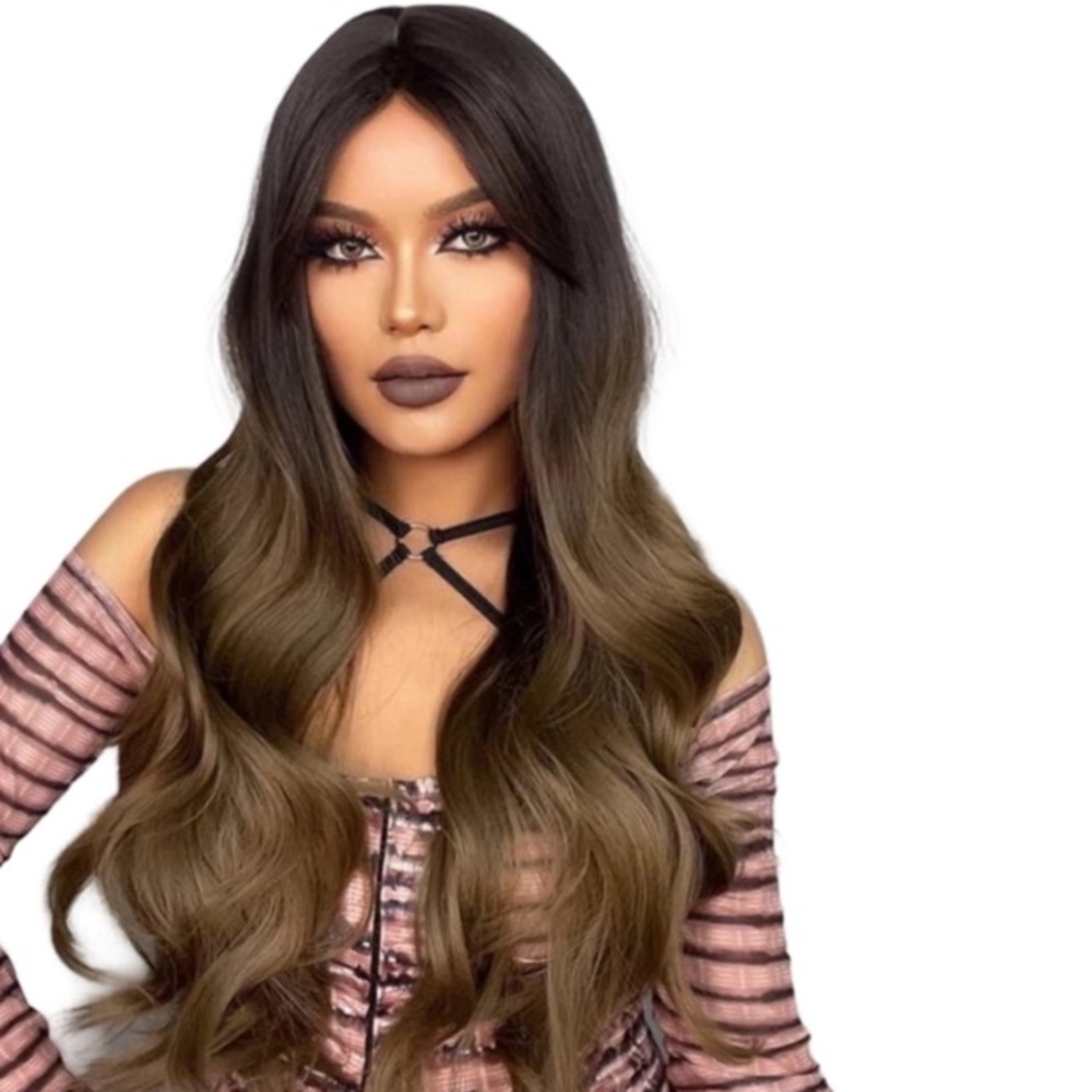 NWT Brown Highlights Ombre Long Hair Wig